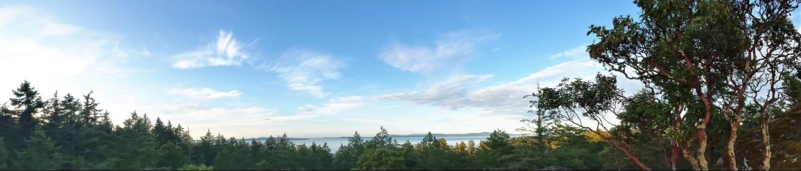 Wide photo with ocean peaking through a fir forest canopy. Blue sky with six wispy clouds. Arbutus in right foreground.
